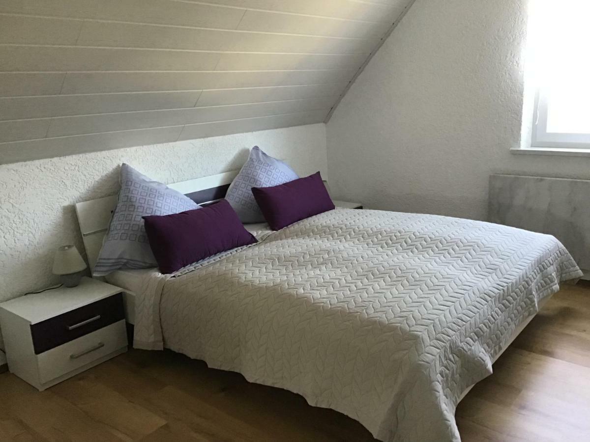 Ferienwohnung Elina Maxhutte-Haidhof Ngoại thất bức ảnh
